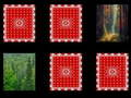 Spel Bosherinnering  aanlyn