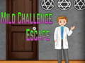 Spel Amgel mild Challenge Escape aanlyn