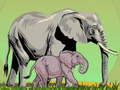 Spel Wilde diere en hul babas  aanlyn