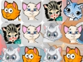 Spel Katjies Match3  aanlyn