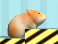 Spel Hamster Om te bevestig  aanlyn