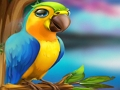 Spel Klein Papegaai Ontsnap  aanlyn