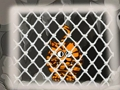 Spel Tiger Escape 1 aanlyn