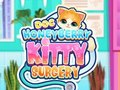 Spel Dok HoneyBerry Kitty Chirurgie  aanlyn
