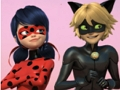 Spel Wonderbaarlike Ladybug & Cat Noir legkaart  aanlyn