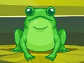 Spel Padda Match Master  aanlyn