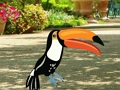 Spel Vind Woodpecker Pair  aanlyn