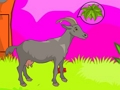 Spel Wolf ontsnap  aanlyn