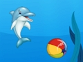 Spel Dolfynskou  aanlyn