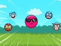 Spel Rolbal X: bonsbal  aanlyn