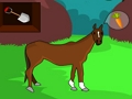 Spel Wild Bear Escape aanlyn