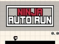 Spel Ninja Auto Run aanlyn