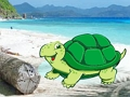 Spel Strand Krap Paar Ontsnap  aanlyn