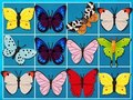 Spel Koning van Mahjong  aanlyn