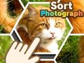 Spel Sorteer foto  aanlyn