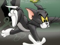 Spel Tom en Jerry Chase in Marsh  aanlyn