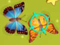 Spel Plaagbeheer  aanlyn