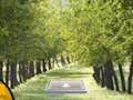 Spel Paar Cat Escape  aanlyn