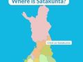 Spel Streke van Finland  aanlyn