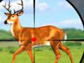 Spel Wild Hunt Jag Speletjies 3D  aanlyn