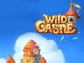 Spel Wilde Kasteel  aanlyn