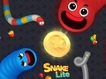 Spel Slang lite wurm aanlyn