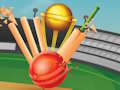 Spel T20 Krieket  aanlyn