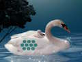 Spel Red Die Swaan Moeder Kind  aanlyn