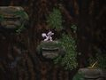 Spel Grot afkoms  aanlyn