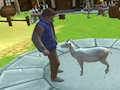 Spel Mal boksimulator aanlyn