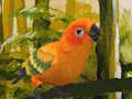 Spel Oulike Budgie legkaart  aanlyn