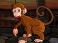 Spel Klein Makaak Escape  aanlyn