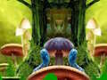 Spel Fantasie Peacock Family Escape  aanlyn