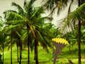 Spel Ontsnap uit Coconut Land  aanlyn