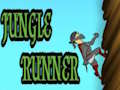 Spel Jungle Runner aanlyn