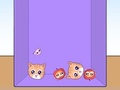 Spel Evolusie van Cat Memes  aanlyn
