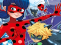 Spel Ladybug Vind die verskille  aanlyn