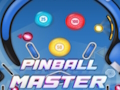 Spel Flipper meester  aanlyn