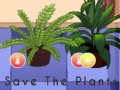 Spel Stoor die plante  aanlyn