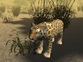 Spel Afrikaanse Jagluiperd Jag Simulator  aanlyn