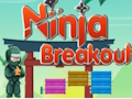 Spel Ninja breakout aanlyn