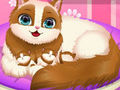Spel Oulike Kitty Dragtig  aanlyn