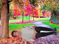 Spel Red 'n Gewonde Ou  aanlyn