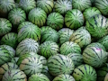 Spel Waatlemoen figuursaag  aanlyn