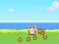Spel Hamster Kombat Clicker aanlyn
