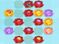 Spel Blomwedstryd-3 aanlyn