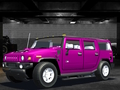 Spel Wild Race Master 3D aanlyn