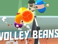 Spel Volleybone aanlyn