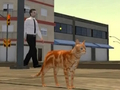 Spel Cat City Simulator aanlyn