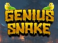 Spel Geniale slang  aanlyn